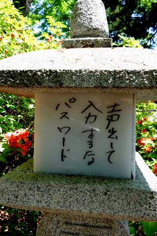 共同浴場脇の石段は酢川温泉神社へ続く参道です。かなり急な石段ですが、等間隔に据えられた石灯籠の火袋に参拝の方々が作られた川柳が記されています。息を切らしながらニヤリとしたり、吹いてみたり。